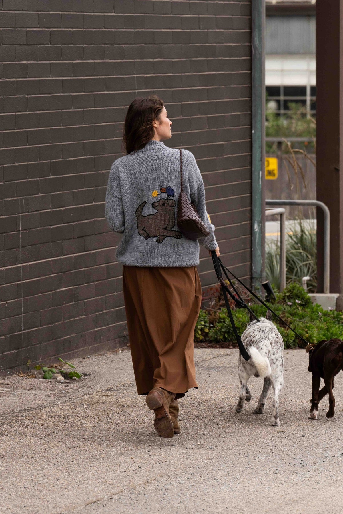 Back view of the Banjo Blue Best Buds sweater with dog and bird graphic, walking two dogs along a brick wall