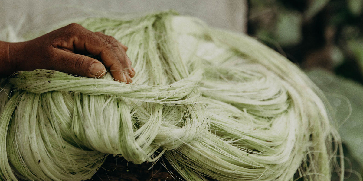 Hand running through freshly dyed green cabuya fiber