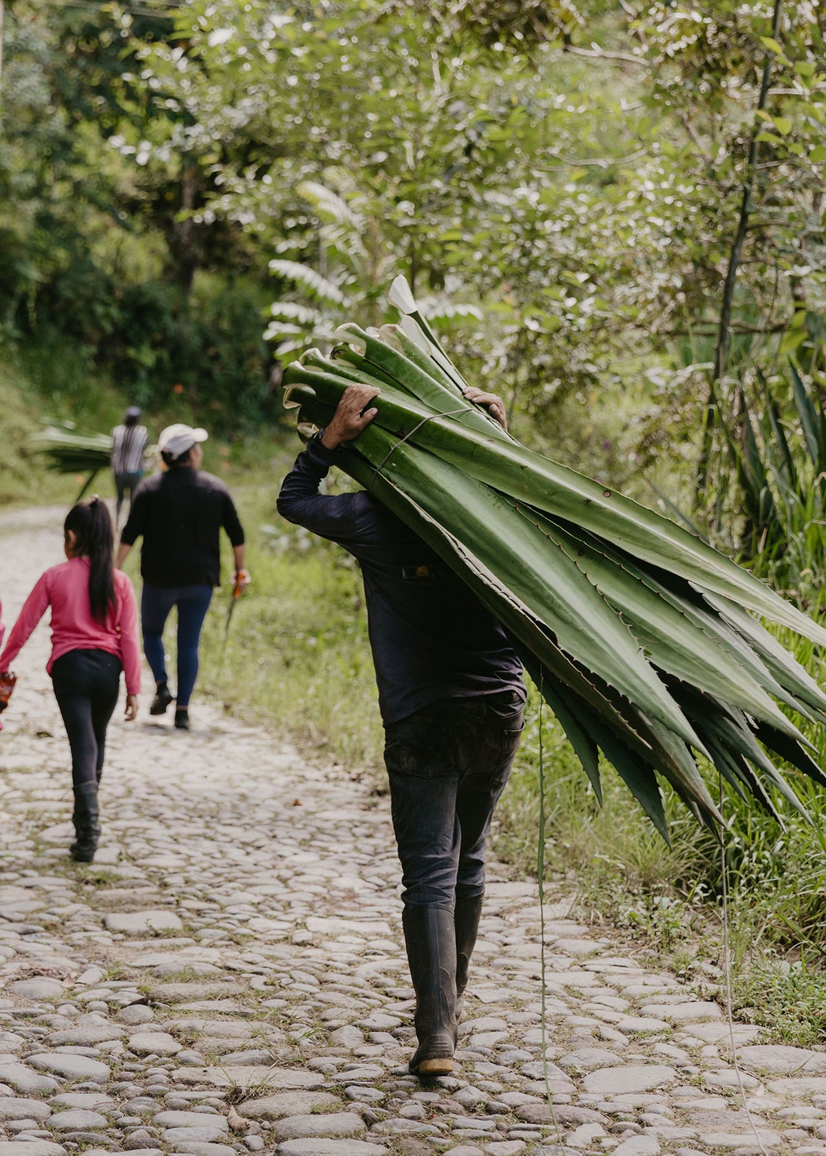 Slowly Crafted with Plants & Natural Fibers